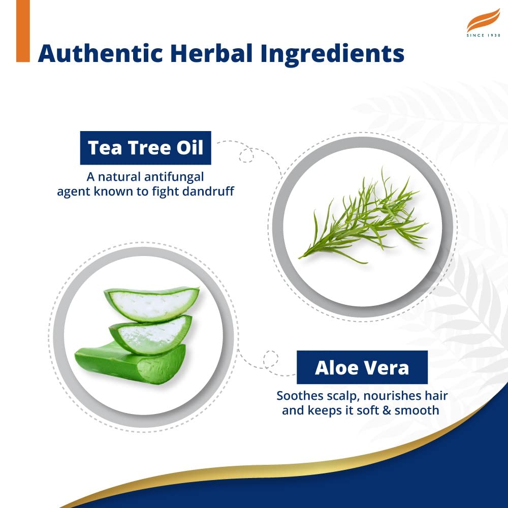 Himalaya Anti Dandruff Shampoo With Tea Tree Removes Dandruff & Soothes Sclap, 1000 ml