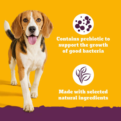 Pedigree Adult Dry Dog Food, New Healthy Belly, 3 kg, Belly Friendly Ingredients, Highly Digestible Proteins, Contains Pumpkin, Sweet Potato, Chicken & Egg, with Prebiotics