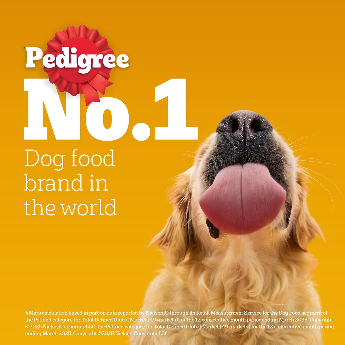 Pedigree Adult Dry Dog Food, New Healthy Belly, 3 kg, Belly Friendly Ingredients, Highly Digestible Proteins, Contains Pumpkin, Sweet Potato, Chicken & Egg, with Prebiotics