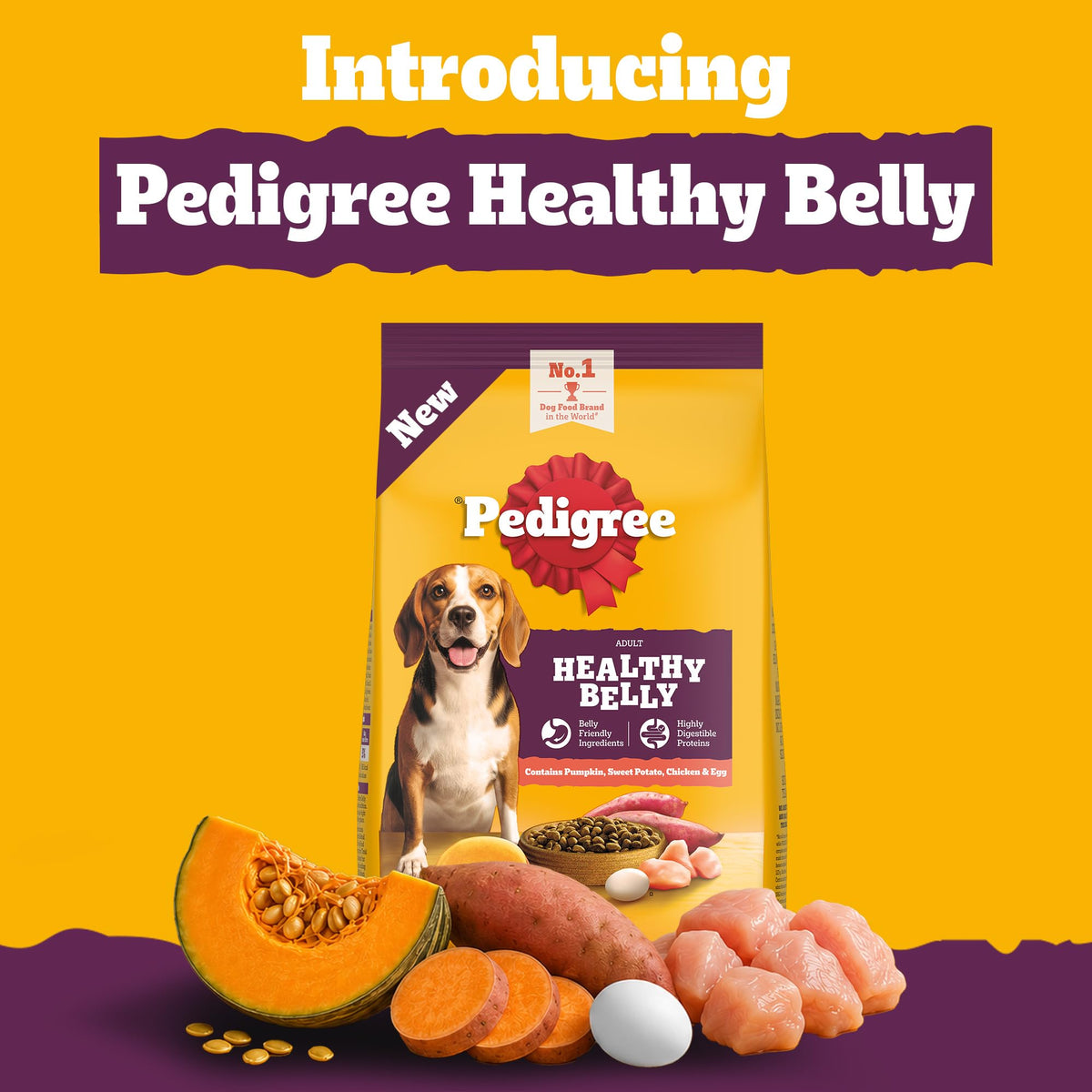 Pedigree Adult Dry Dog Food, New Healthy Belly, 3 kg, Belly Friendly Ingredients, Highly Digestible Proteins, Contains Pumpkin, Sweet Potato, Chicken & Egg, with Prebiotics