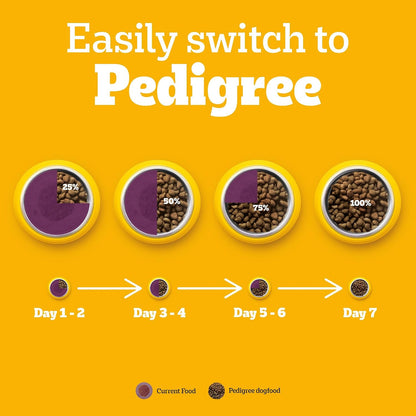 Pedigree Adult Dry Dog Food, New Healthy Belly, 3 kg, Belly Friendly Ingredients, Highly Digestible Proteins, Contains Pumpkin, Sweet Potato, Chicken & Egg, with Prebiotics