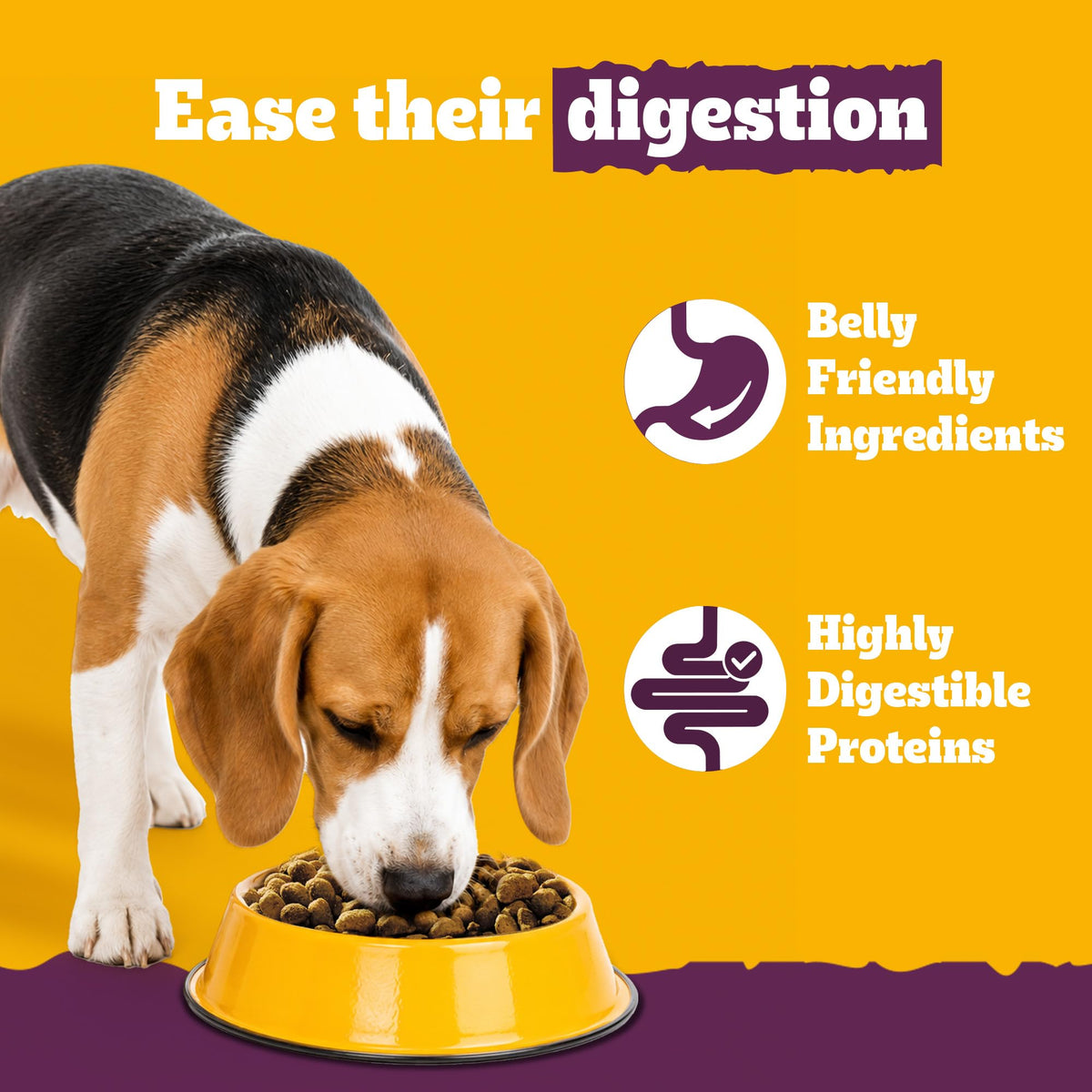 Pedigree Adult Dry Dog Food, New Healthy Belly, 3 kg, Belly Friendly Ingredients, Highly Digestible Proteins, Contains Pumpkin, Sweet Potato, Chicken & Egg, with Prebiotics