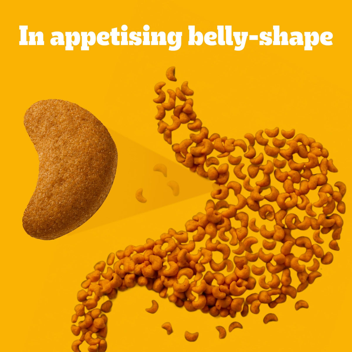 Pedigree Adult Dry Dog Food, New Healthy Belly, 3 kg, Belly Friendly Ingredients, Highly Digestible Proteins, Contains Pumpkin, Sweet Potato, Chicken & Egg, with Prebiotics