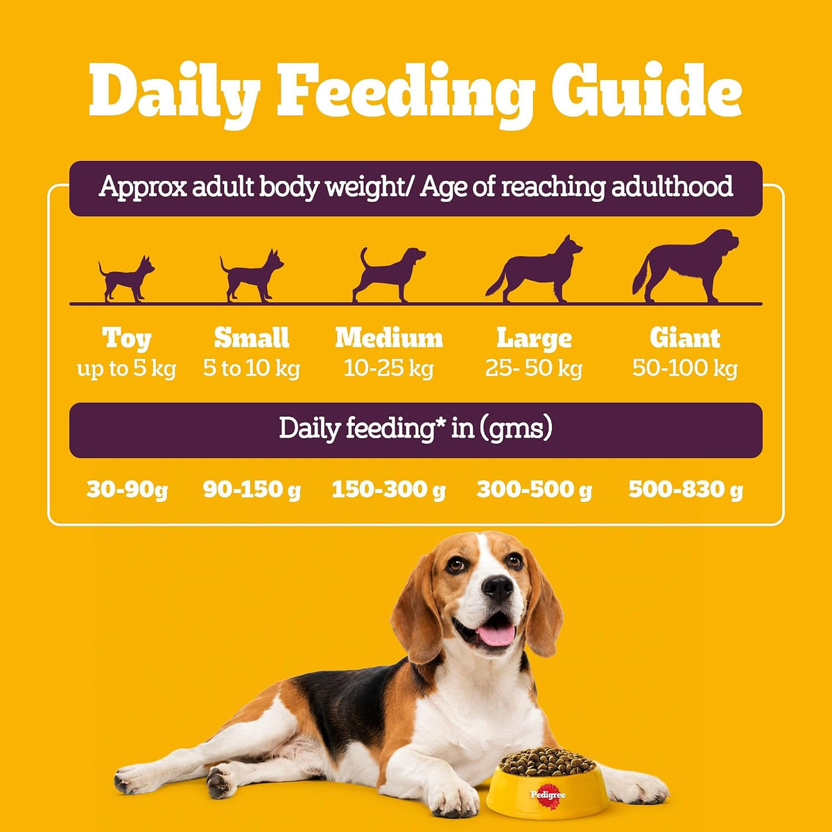 Pedigree Adult Dry Dog Food, New Healthy Belly, 3 kg, Belly Friendly Ingredients, Highly Digestible Proteins, Contains Pumpkin, Sweet Potato, Chicken & Egg, with Prebiotics