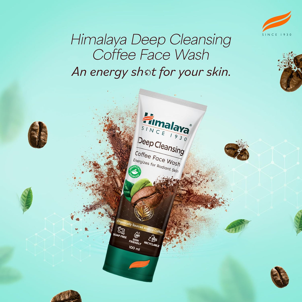 Himalaya Anti Dandruff Shampoo With Tea Tree Removes Dandruff & Soothes Sclap, 1000 ml