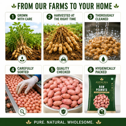 ASPAURA Premium Raw Peanuts 1 KG (Groundnut Kernels) | Whole, Sortex Sorted & Hygienically Packed | Rich in Protein & Dietary Fibre | Ideal for Roasting, Boiling, Cooking & Homemade Peanut Butter