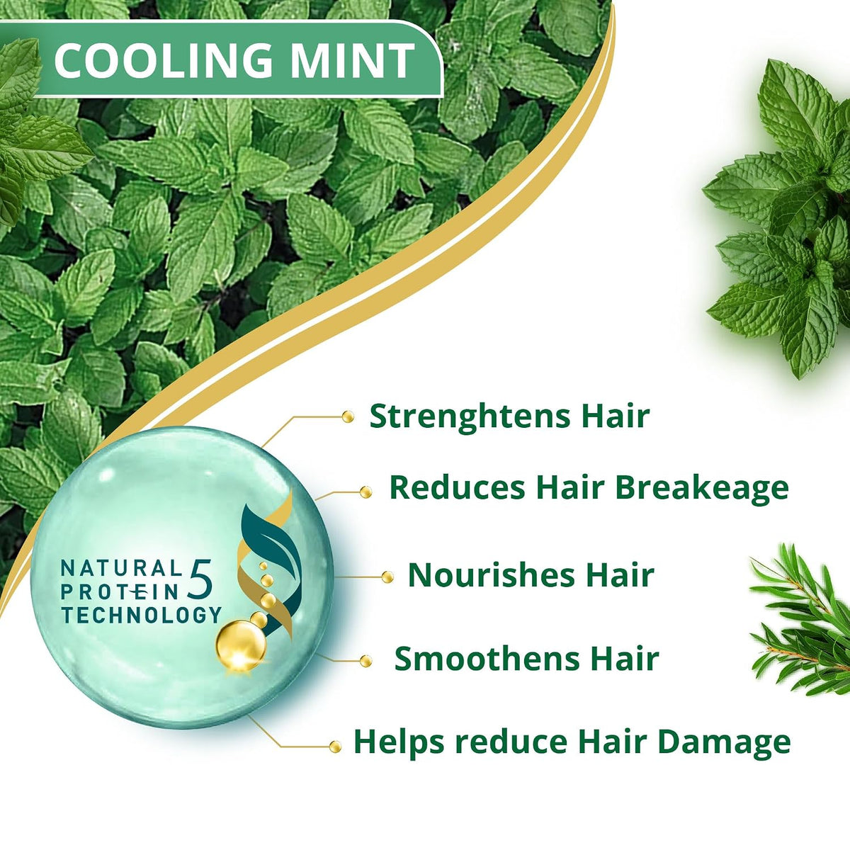 Himalaya Anti Dandruff Shampoo With Tea Tree Removes Dandruff & Soothes Sclap, 1000 ml