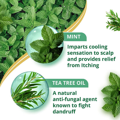 Himalaya Anti Dandruff Shampoo With Tea Tree Removes Dandruff & Soothes Sclap, 1000 ml