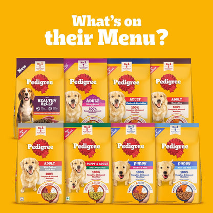 Pedigree Adult Dry Dog Food, New Healthy Belly, 3 kg, Belly Friendly Ingredients, Highly Digestible Proteins, Contains Pumpkin, Sweet Potato, Chicken & Egg, with Prebiotics