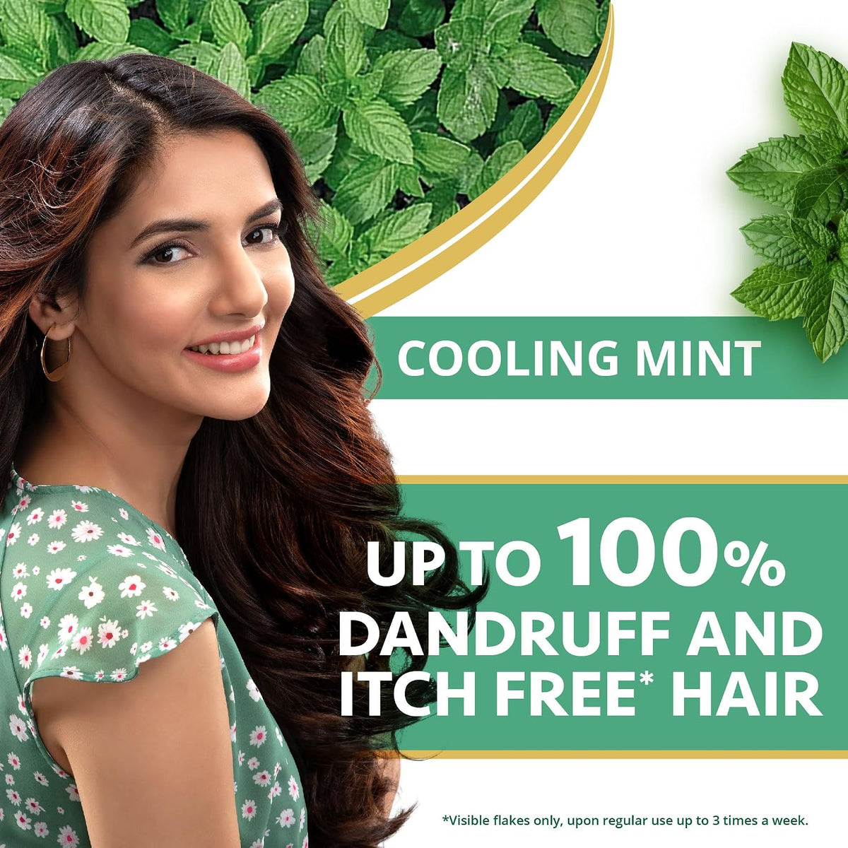Himalaya Anti Dandruff Shampoo With Tea Tree Removes Dandruff & Soothes Sclap, 1000 ml