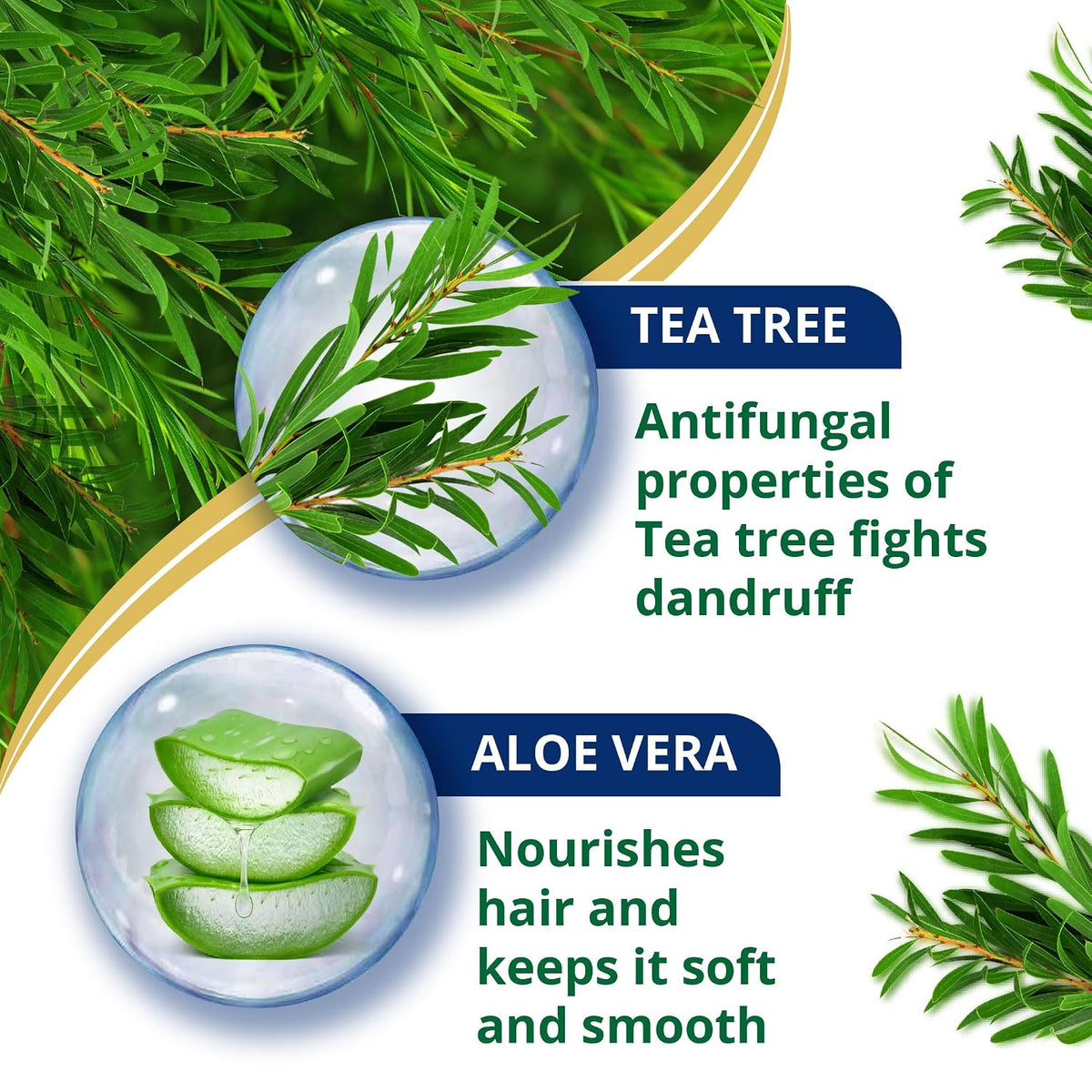 Himalaya Anti Dandruff Shampoo With Tea Tree Removes Dandruff & Soothes Sclap, 1000 ml