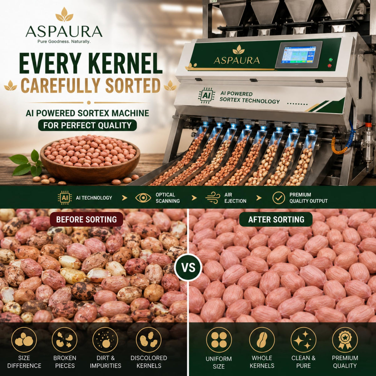 ASPAURA Premium Raw Peanuts 1 KG (Groundnut Kernels) | Whole, Sortex Sorted & Hygienically Packed | Rich in Protein & Dietary Fibre | Ideal for Roasting, Boiling, Cooking & Homemade Peanut Butter
