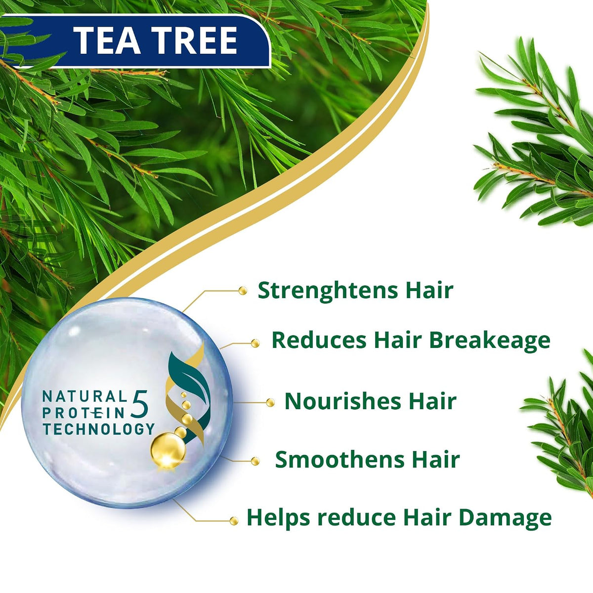 Himalaya Anti Dandruff Shampoo With Tea Tree Removes Dandruff & Soothes Sclap, 1000 ml